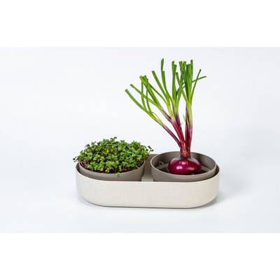 Miska na naklíčení Regrow sl.kost 30,5cm