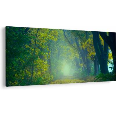 Obraz cesty lemovanej stromami, jednodielne 200x100 cm