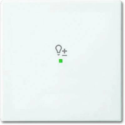Busch-Jaeger 2CKA006220A0359