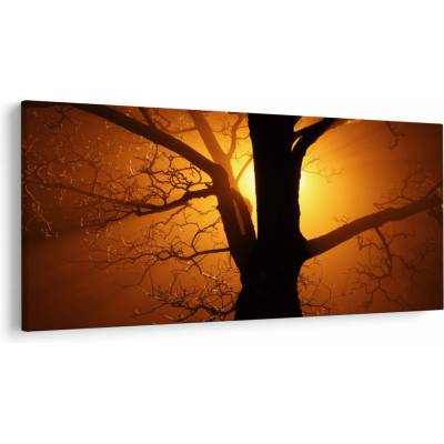 Obraz stromu pri západe slnka, jednodielne 250x125 cm