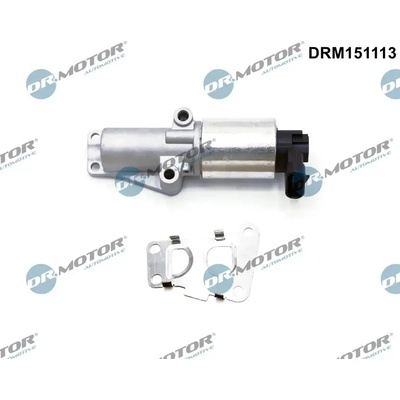 Dr.Motor Automotive AGR ventil DMA DRM151113