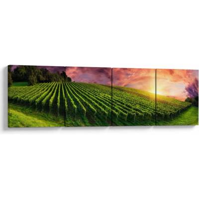 Obraz vinice s farebným nebom, štvordielne 160x40 cm
