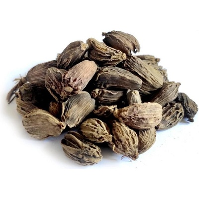Bylík Kardamom černý plod 100 g