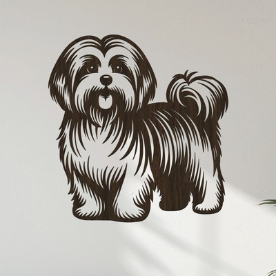 dřevo života Dřevěný obraz Havanský psík (Havanese) Zvolte rozměr šxv (cm): 57x60, Zvolte barvu dekoru: Wenge