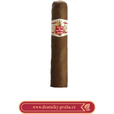 Hoyo de Monterrey Petit Robusto