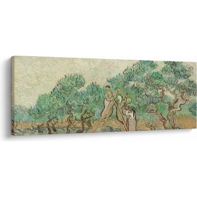 Obraz - Vincent van Gogh, The Olive Orchard, reprodukcia, jednodielne 145x58 cm