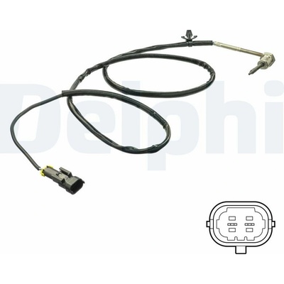 DELPHI TS30163
