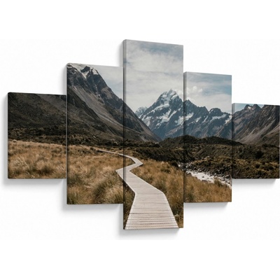 Obraz - Chodník v údolí hory Mt. Cook, pětidílný 125x70 cm