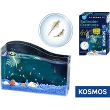 Kosmos Vzdělávací sada Mořská stvoření