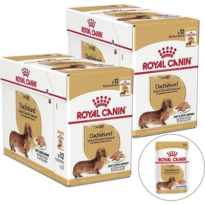 Royal Canin Adult Dachshund 24 x 85 g