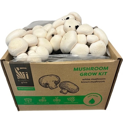 PLANTO Sada pro pěstování Žampión bílý 15l (Agaricus Bisporus) PO-15L-ZB