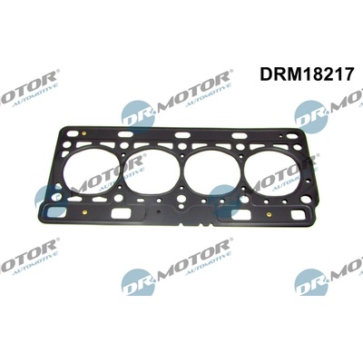 DR.MOTOR AUTOMOTIVE Tesnenie hlavy valcov DRM18217
