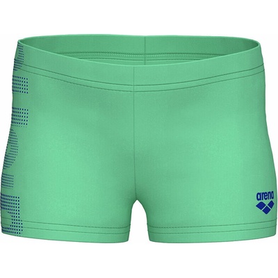 Arena Logo Swim Shorts