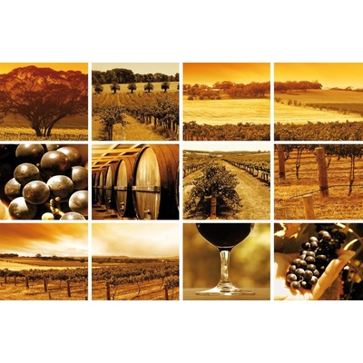 Preinterier FT0773 Fototapeta na stenu Mozaika víno vlies 416cm x 254cm