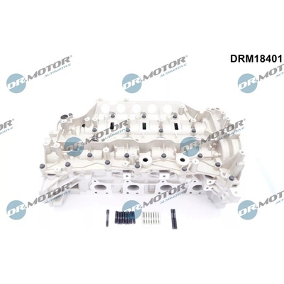 Hlava valcov motora Dr.Motor Automotive DRM18401