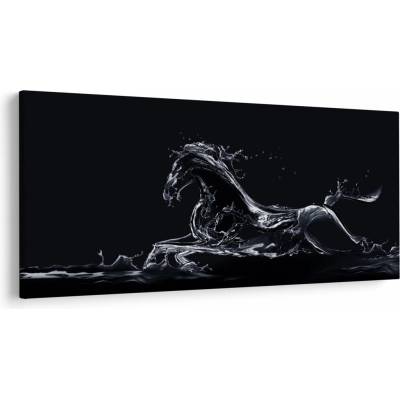 Obraz - Kôň a voda, jednodielne 200x100 cm
