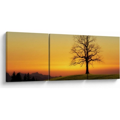 Obraz stromu na poli, trojdielne 90x30 cm