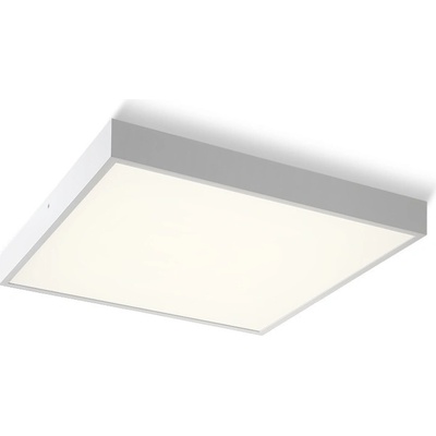 RENDL R13711