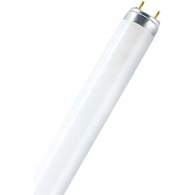 Osram Žiarivka neónová trubica T8 38W/830 1050mm