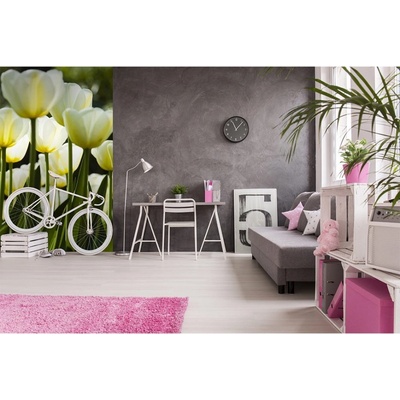 Dimex MS-2-0127 vliesová fototapeta na zeď Bílé tulipány rozměry 150 x 250 cm