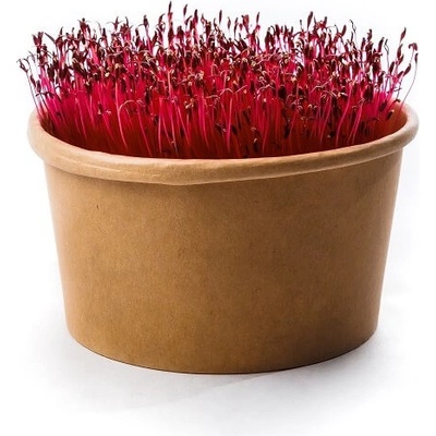 InWeek Microgreens amarant - sada na pestovanie