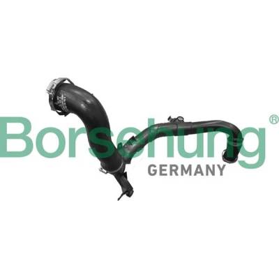 BORSEHUNG Hadica plniaceho vzduchu B12353
