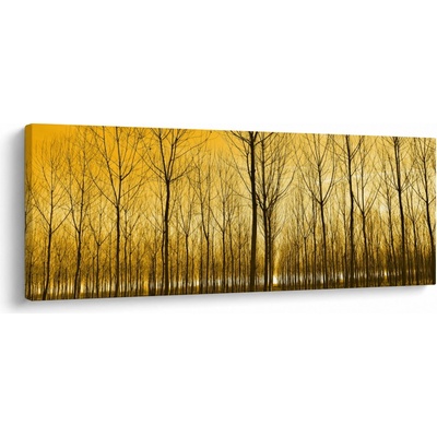 Obraz lesa při západu slunce, jednodílný 100x40 cm