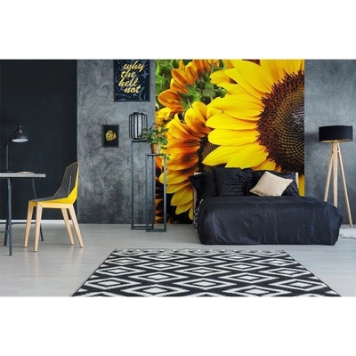 Dimex MS-3-0130 vliesová fototapeta na zeď Slunečnice rozměry 225 x 250 cm