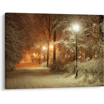 Obraz - Zasnežený park, jednodielne 70x50 cm