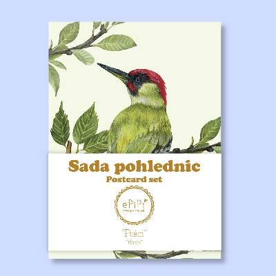 ePiPí Sada pohlednic - Ptáci