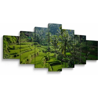 Obraz rýžových teras Tegalalang, Bali, sedmidílný 210x100 cm