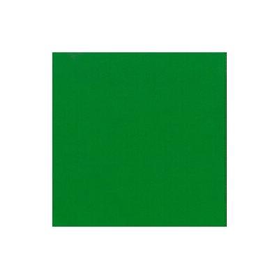 Iwan Simonis Plátno Simonis 760 Apple green 195 cm
