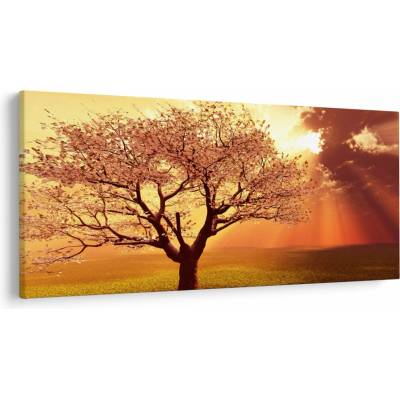 Obraz lúčov Boha, jednodielne 250x125 cm