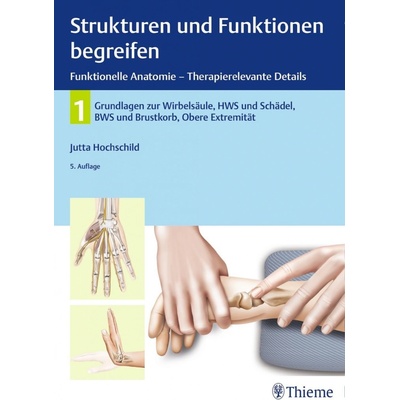 Strukturen und Funktionen begreifen, Funktionelle Anatomie - Therapierelevante Details Hochschild Jutta – Hledejceny.cz