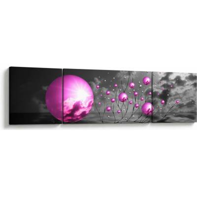 Obraz růžových koulí, třídílný 170x50 cm