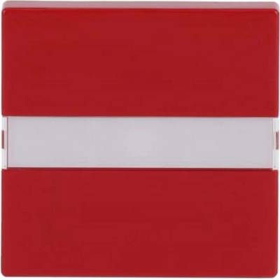Busch-Jaeger 2CKA001731A4011