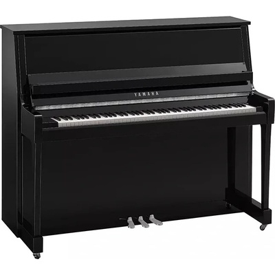 Yamaha B30 PEC