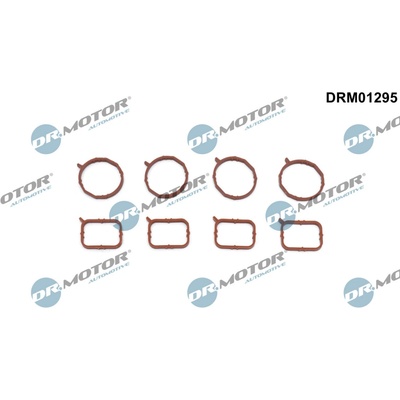 DR.MOTOR AUTOMOTIVE Sada tesnení kolena nasávacieho potrubia DRM01295