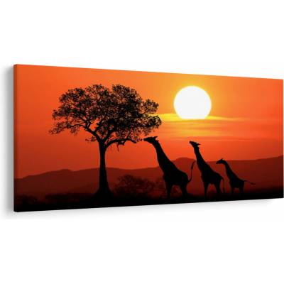 Obraz žiraf při západu slunce, jednodílný 200x100 cm