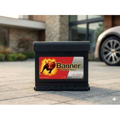 Banner Power Bull 12V 50Ah 450A P50 03