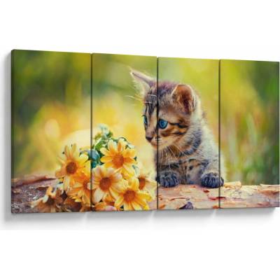 Obraz mačiatka pozerajúce sa na kvetinu, štvordielne 160x80 cm