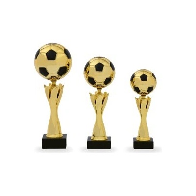 Pohár fotbal PS 22522.1