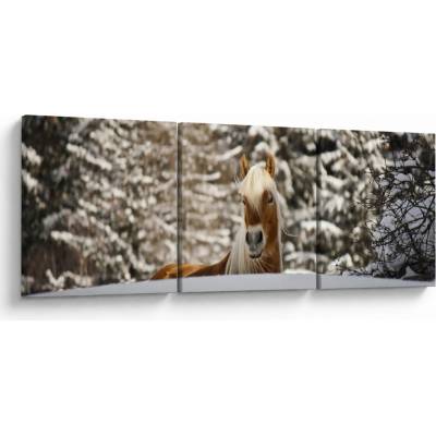 Obraz - Kôň v zimnej krajine, trojdielne 120x40 cm