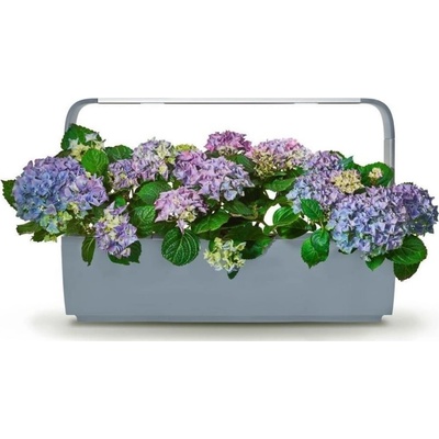 Tregren T12 KITCHEN GARDEN