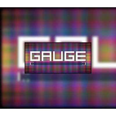 Gauge