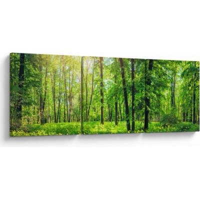 Obraz - Jarný listnatý les, trojdielne 90x30 cm