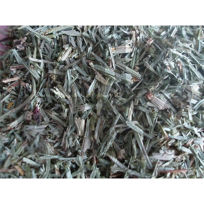 Bylinná lékárna Přeslička rolní nať Equiseti herba 500 g