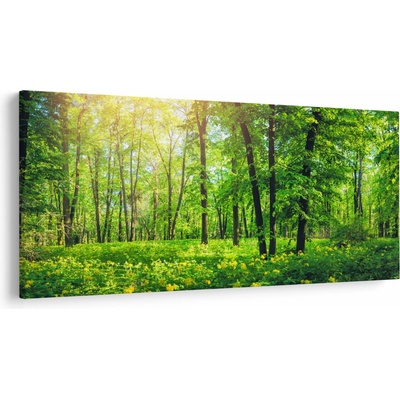 Obraz - Jarný listnatý les, jednodielne 200x100 cm