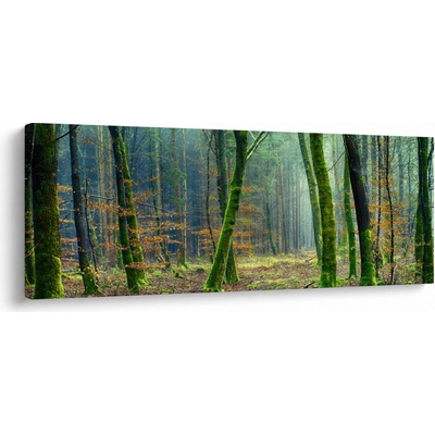 Obraz lesa, jednodielne 145x58 cm