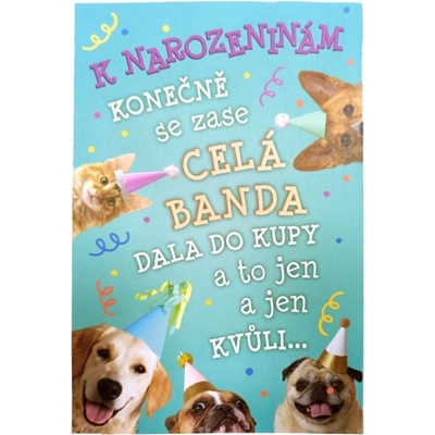 Narozeninové blahopřání - P - zvířata